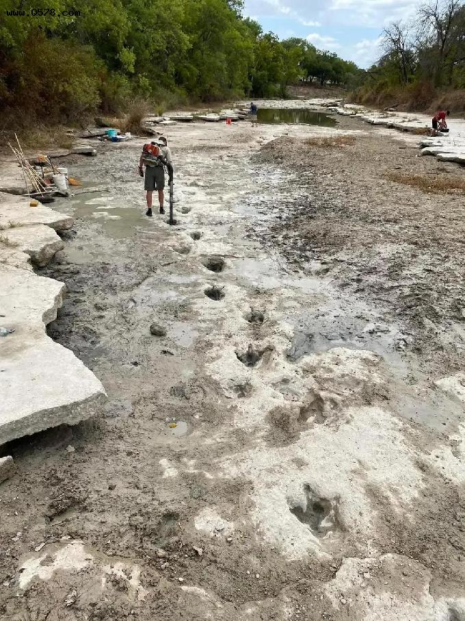 美国得克萨斯州一公园内的河流干涸，1亿多年前恐龙足迹露出
