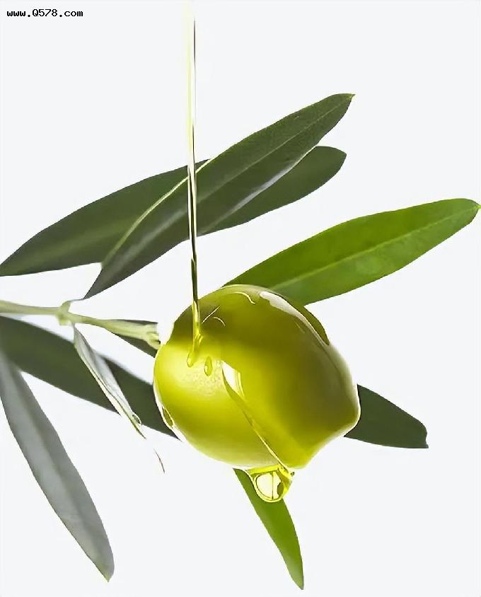 “美人油”油橄榄果油，有神奇的护肤效果吗？