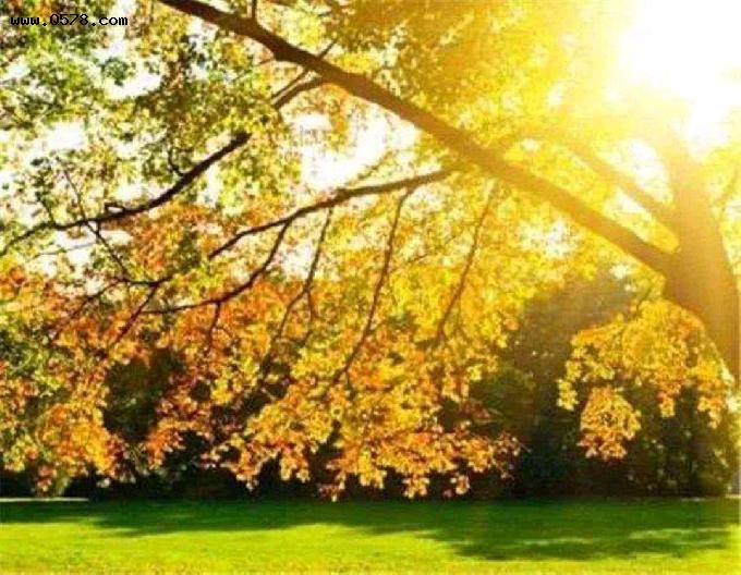 秋季养生的重点要“护阳”，损耗阳气的4件事，劝你要懂得避开