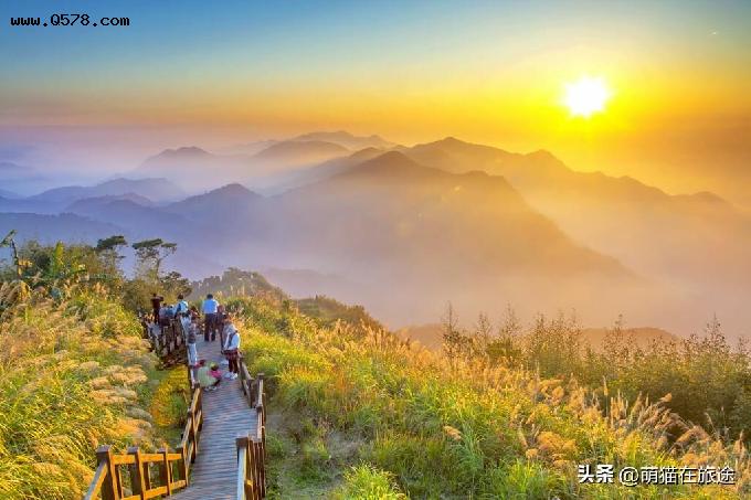 畅游中国台湾省最理想的避暑胜地：阿里山，品尝正宗的台湾高山茶