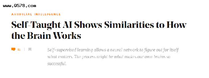 人脑90%都是自监督学习，AI大模型离模拟大脑还有多远？