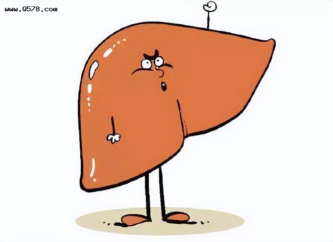 脂肪肝是如何发生？看过了它的发生过程，想要消除它不是什么难事