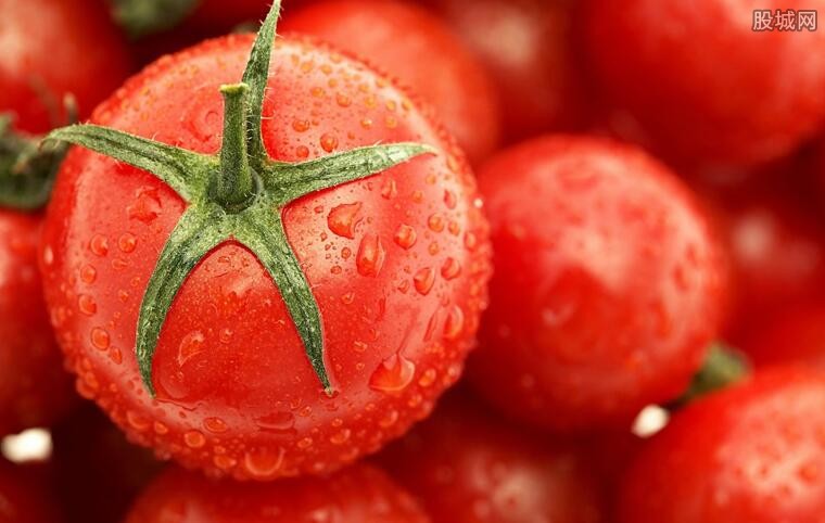 丹麦巨头宣布今冬停产西红柿和黄瓜 来看具体详情