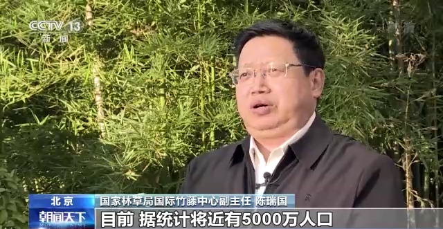国家林草局：到2025年 全国竹产业总产值突破7000亿元