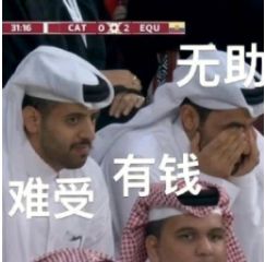 世界杯卡塔尔王子表情包图片大全高清版(卡塔尔世界杯名额)